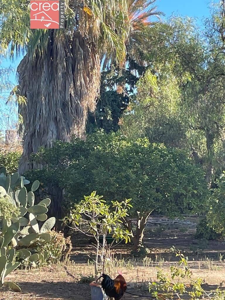 7 soveværelse Finca/Landehus til salg i Los Narejos med swimmingpool - € 519.900 (Ref: 8000781)