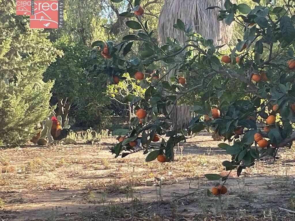 7 soveværelse Finca/Landehus til salg i Los Narejos med swimmingpool - € 519.900 (Ref: 8000781)