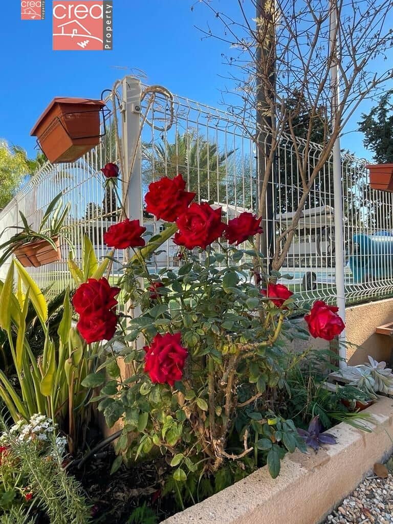7 soveværelse Finca/Landehus til salg i Los Narejos med swimmingpool - € 498.000 (Ref: 8000781)