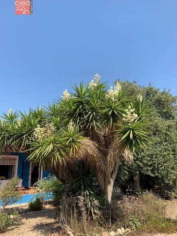 3 camera da letto Finca/Casa di Campagna in vendita in Gea y Truyols, Murcia città con piscina - 265.000 € (Rif: 8411577)