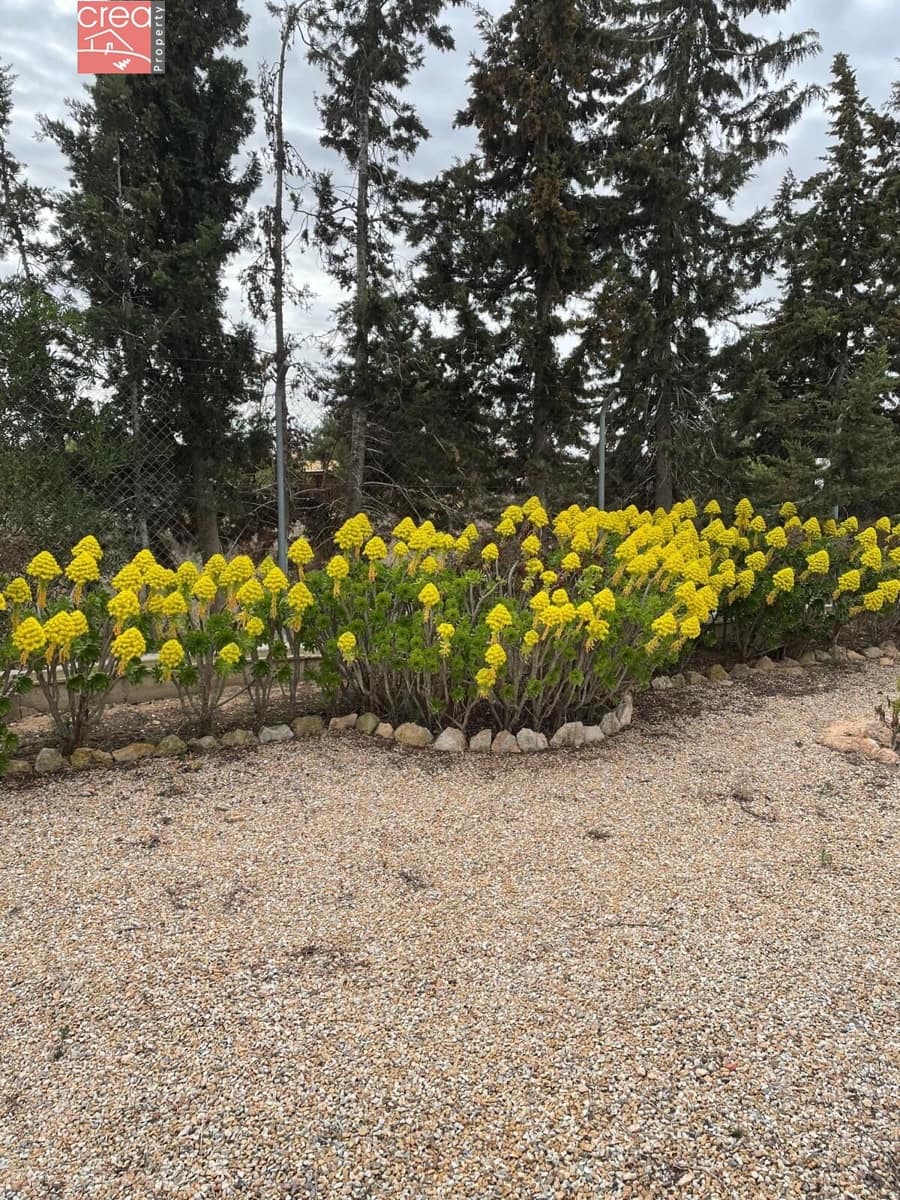 3 chambre Finca/Maison de Campagne à vendre à Gea y Truyols avec piscine - 265 000 € (Ref: 8411577)