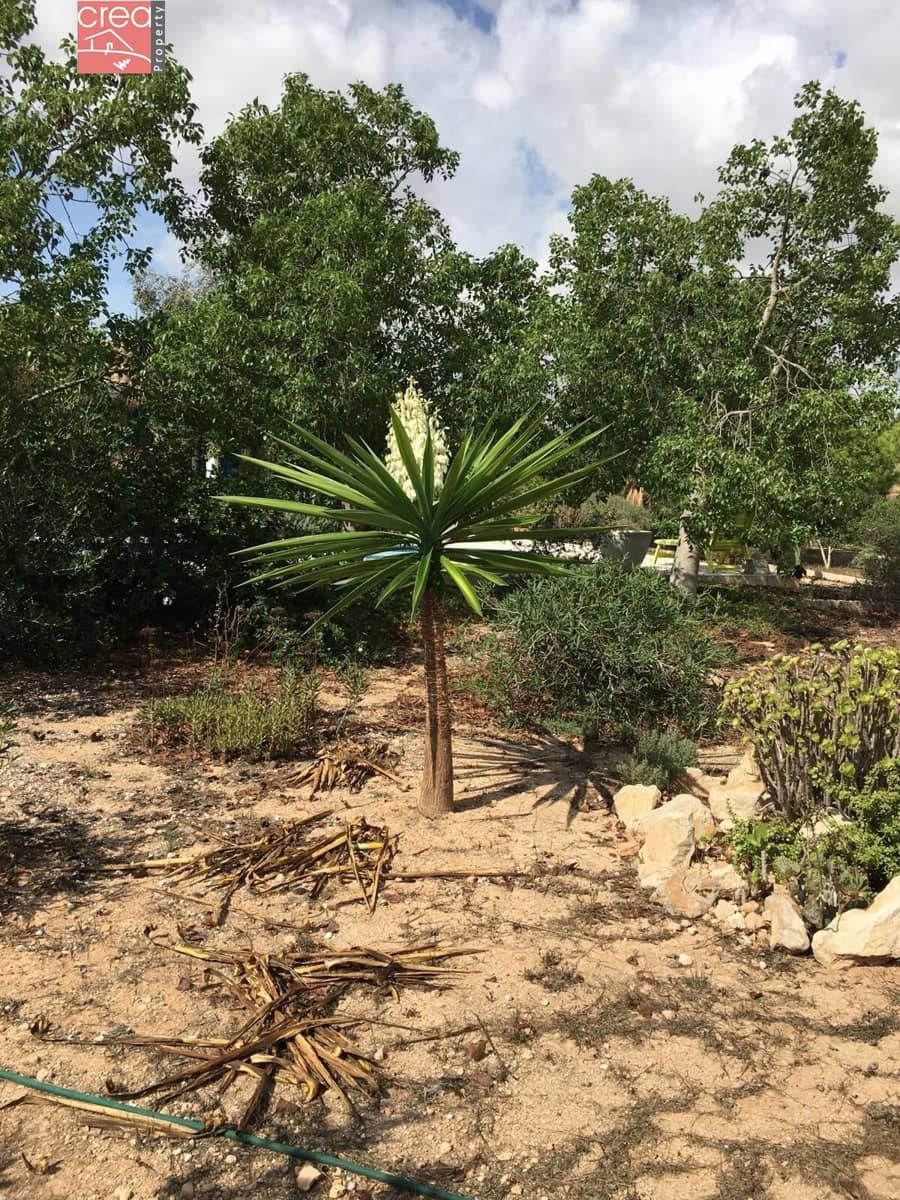 Finca/Casa Rural de 3 habitaciones en Gea y Truyols en venta con piscina - 265.000 € (Ref: 8411577)