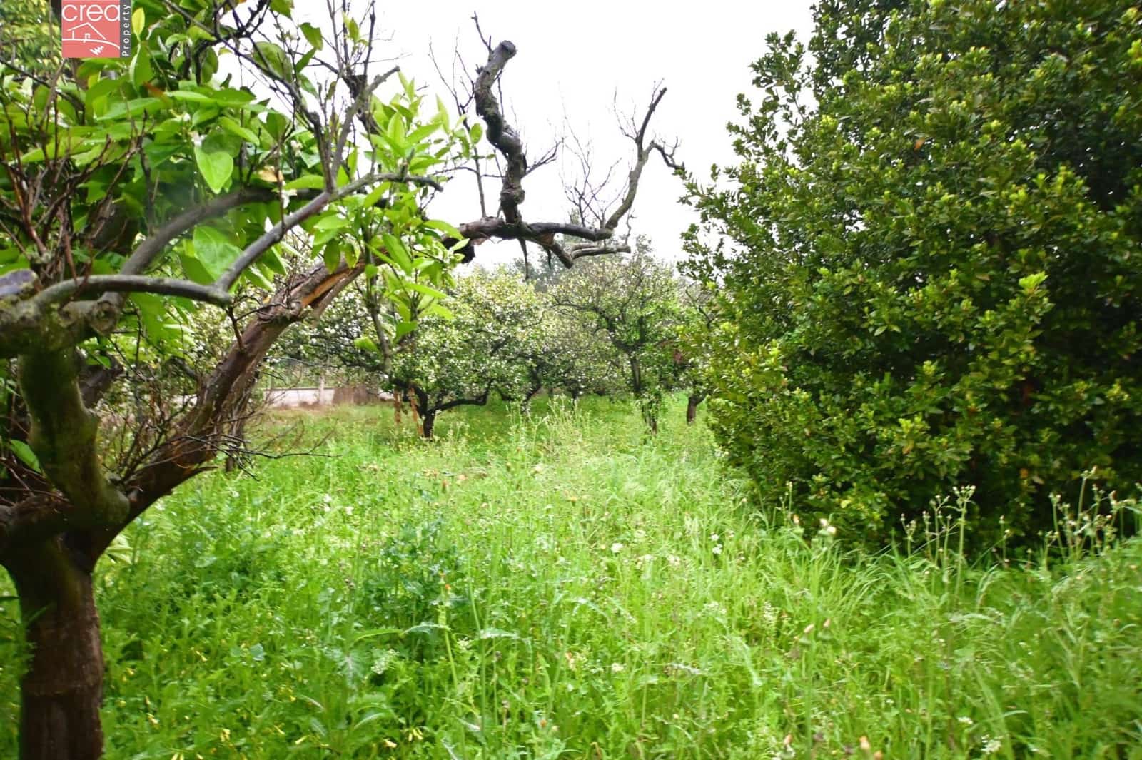 Byggegrund til salg i Aljucer - € 132.000 (Ref: 8934953)