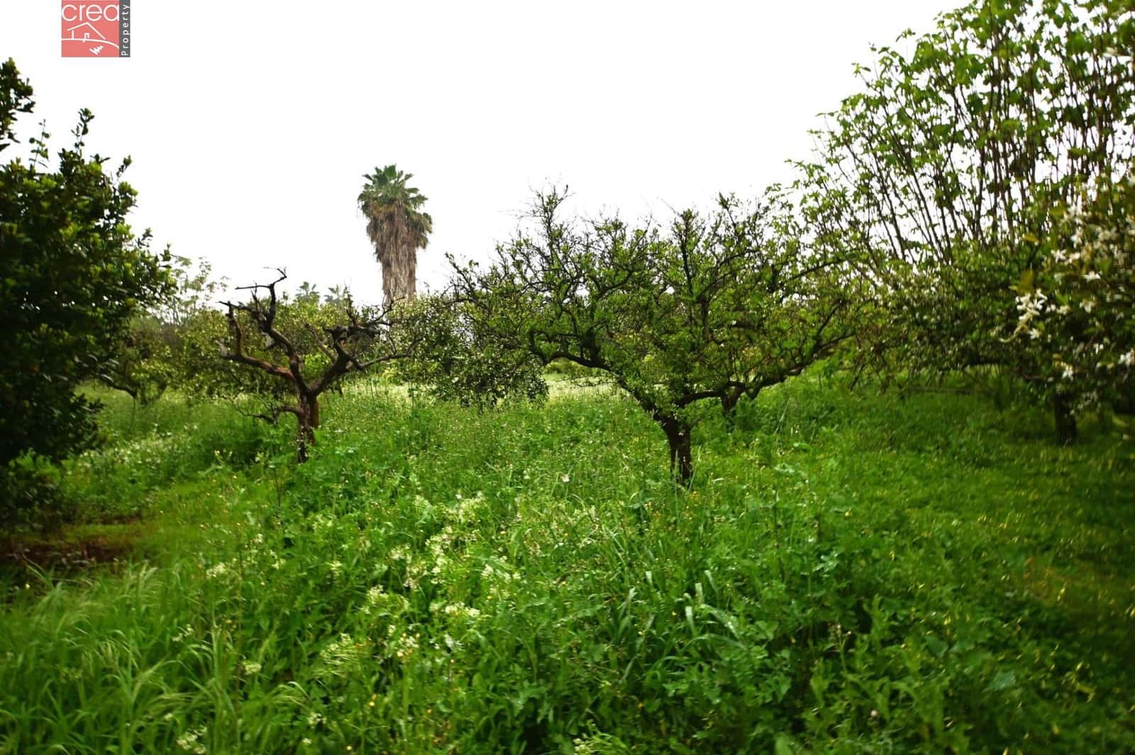 Byggegrund til salg i Aljucer - € 132.000 (Ref: 8934953)