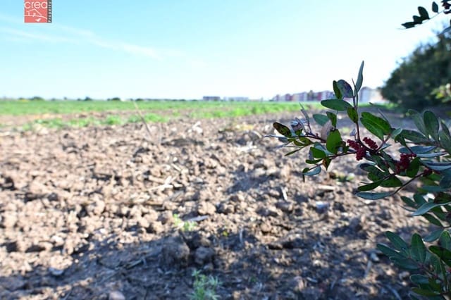 Bouwgrond te koop in Los Narejos - Punta Calera, Los Alcázares - € 8.500.000 (Ref: 8993934)