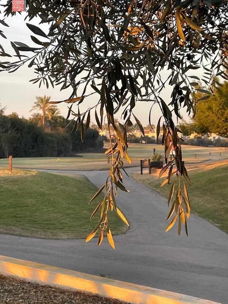 2 slaapkamer Appartement te koop in Roda met zwembad garage - € 158.000 (Ref: 9108863)