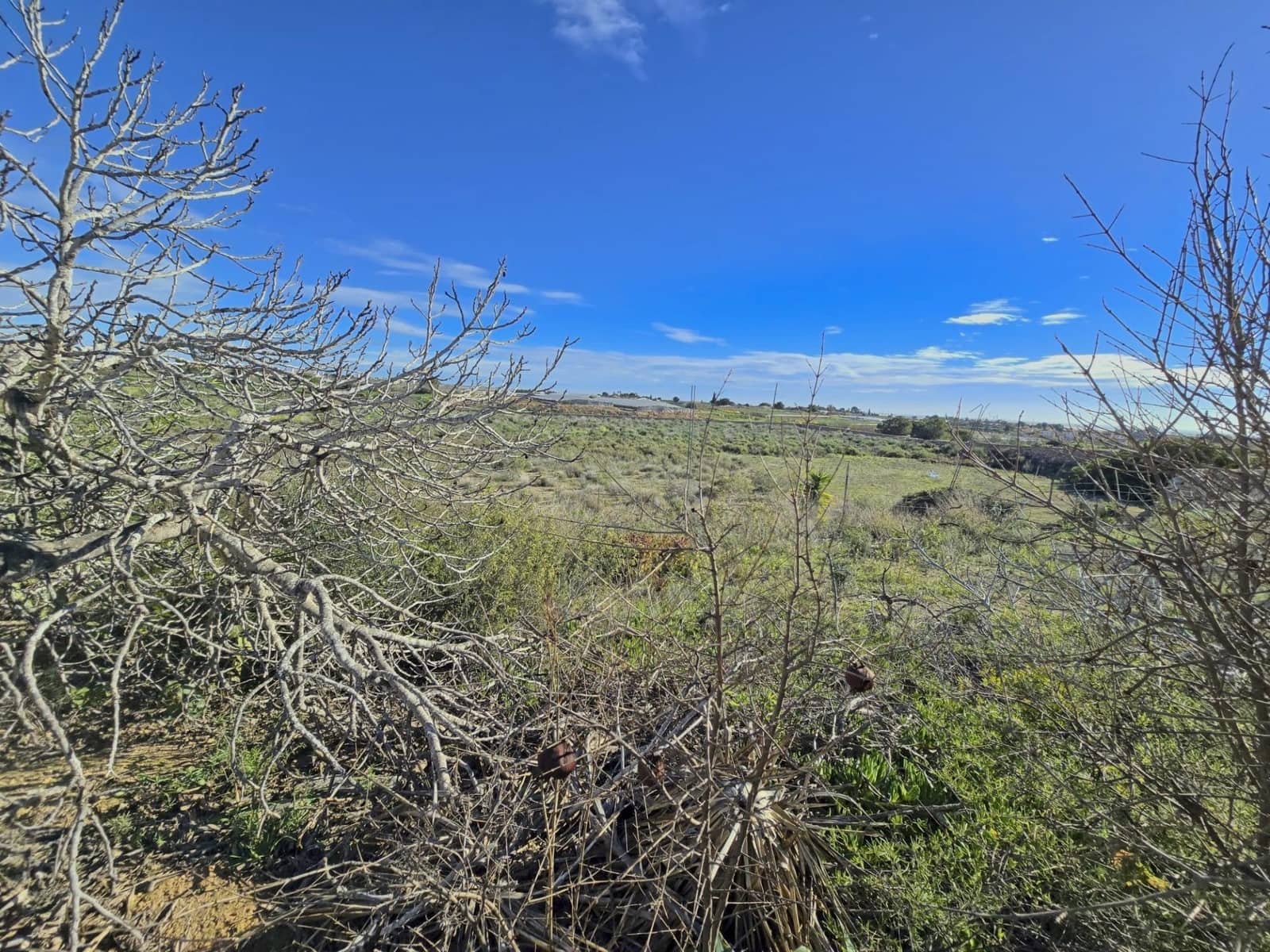 Finca/Casa Rural de 3 habitaciones en Sucina en venta con garaje - 249.000 € (Ref: 9605163)