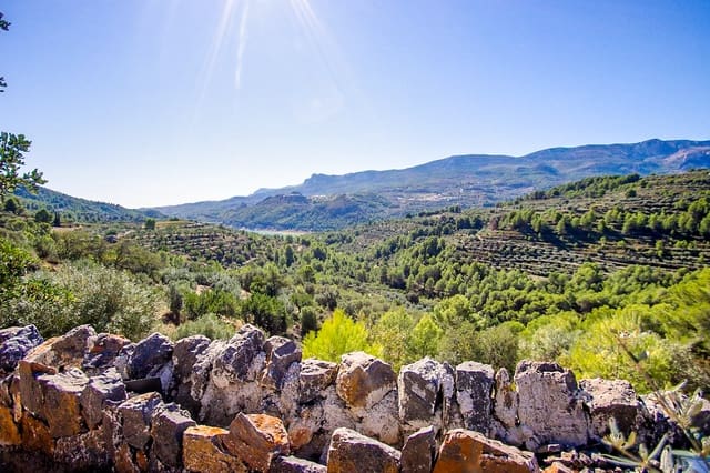 Finca/Casa Rural de 1 habitación en Guadalest en venta - 249.000 € (Ref: 10185411)
