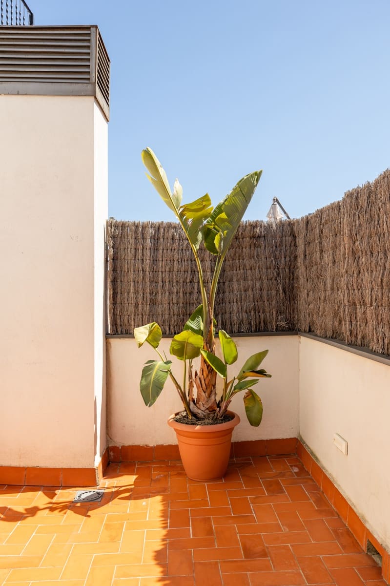 2 quarto Apartamento para venda em Barcelona cidade - 480 000 € (Ref: 9809057)