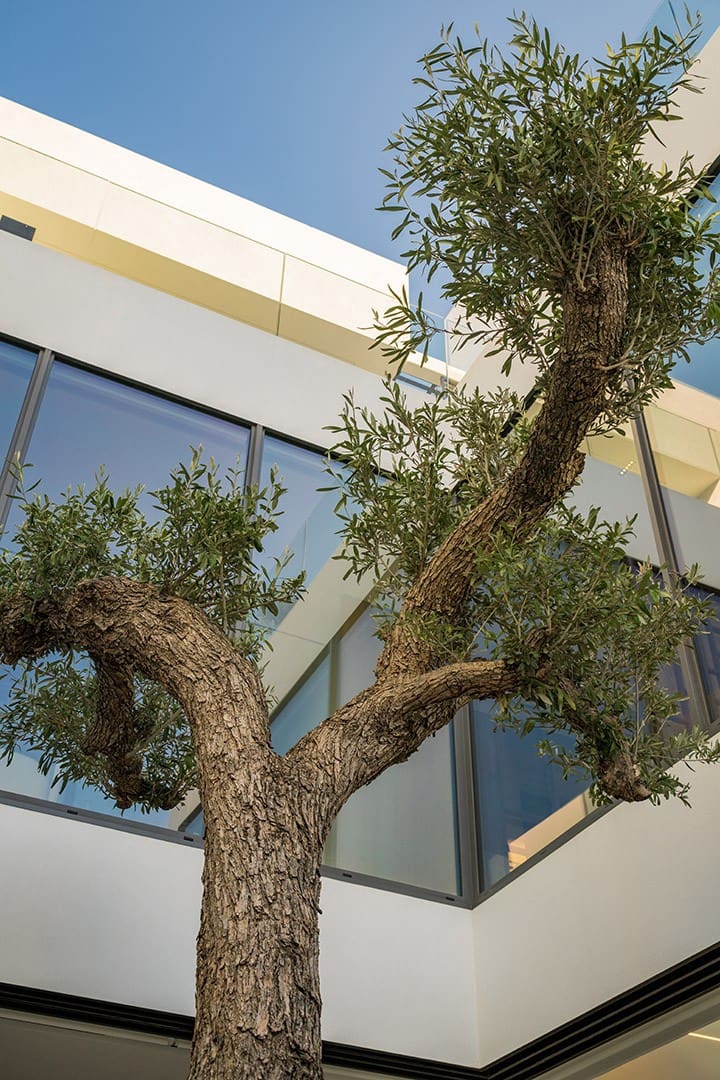 4 bedroom Villa for sale in Golden Mile with pool garage - € 7,500,000 (Ref: 8533790)