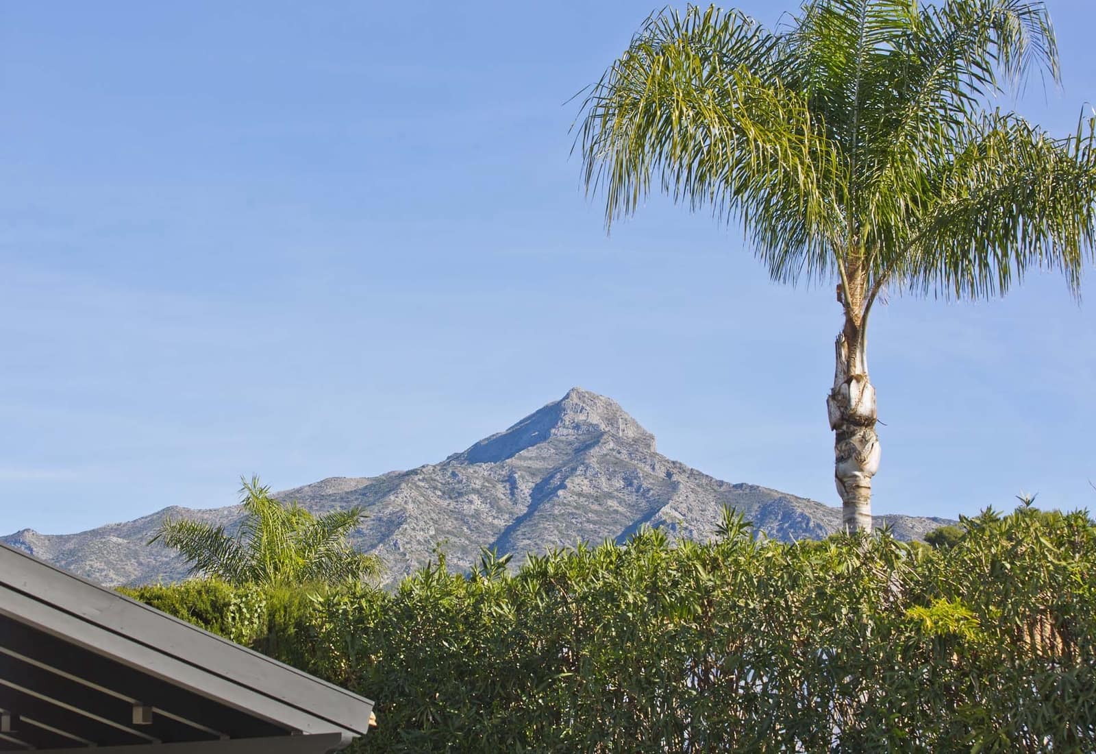 4 sovrum Villa till salu i Nueva Andalucia med pool - 2 350 000 € (Ref: 8588382)