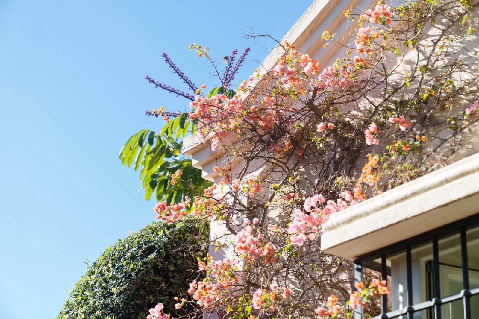 7 soverom Villa til salgs i Los Monteros med svømmebasseng garasje - € 10 955 000 (Ref: 9012144)