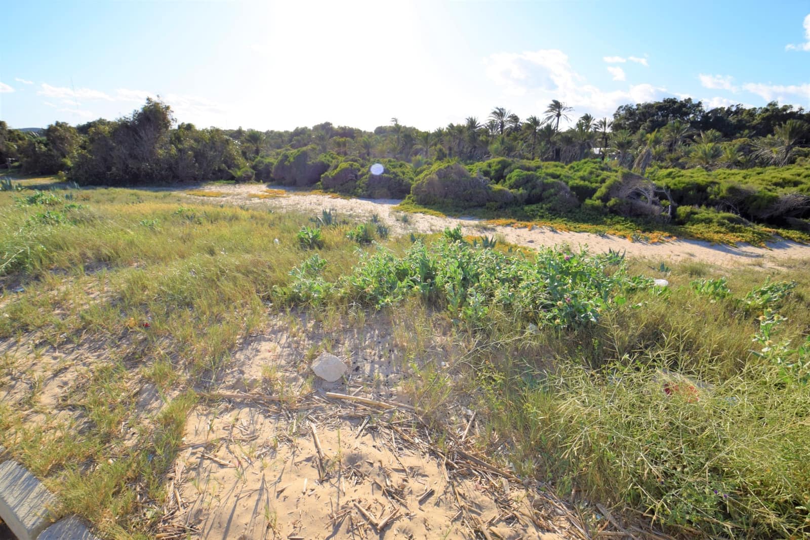 1 quarto Apartamento para venda em Guardamar del Segura - 120 000 € (Ref: 5144314)