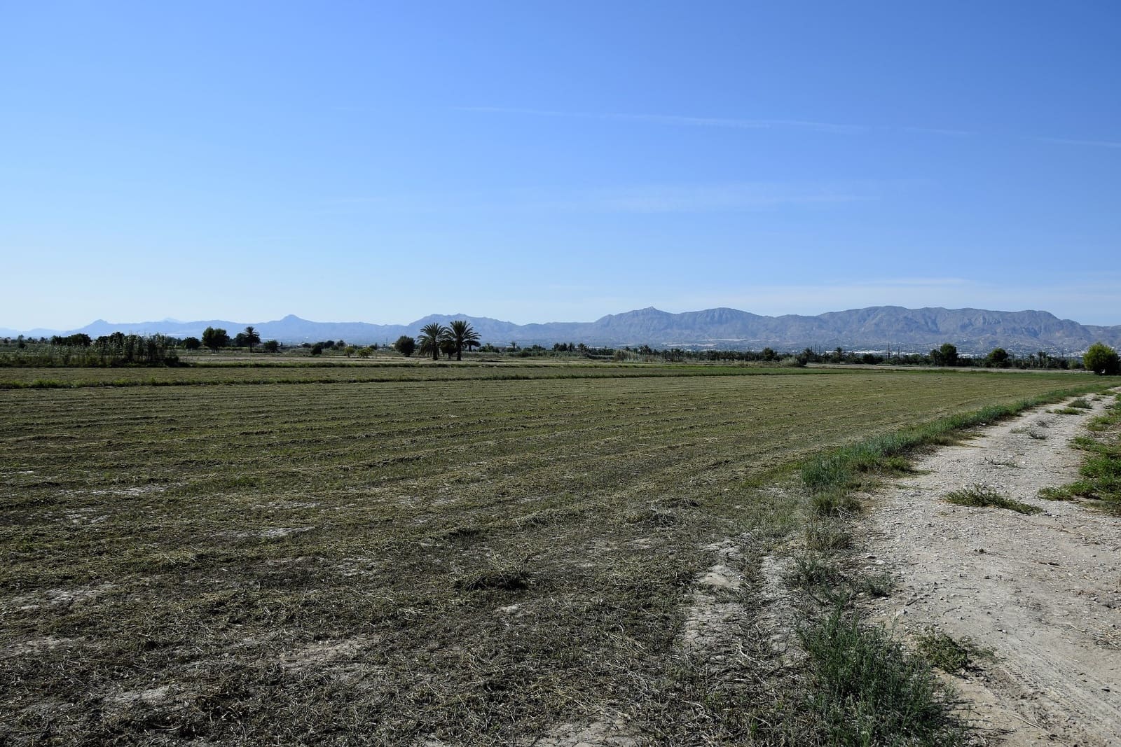 Teren niezagospodarowany na sprzedaż w Catral - 325 000 € (Ref: 5351999)