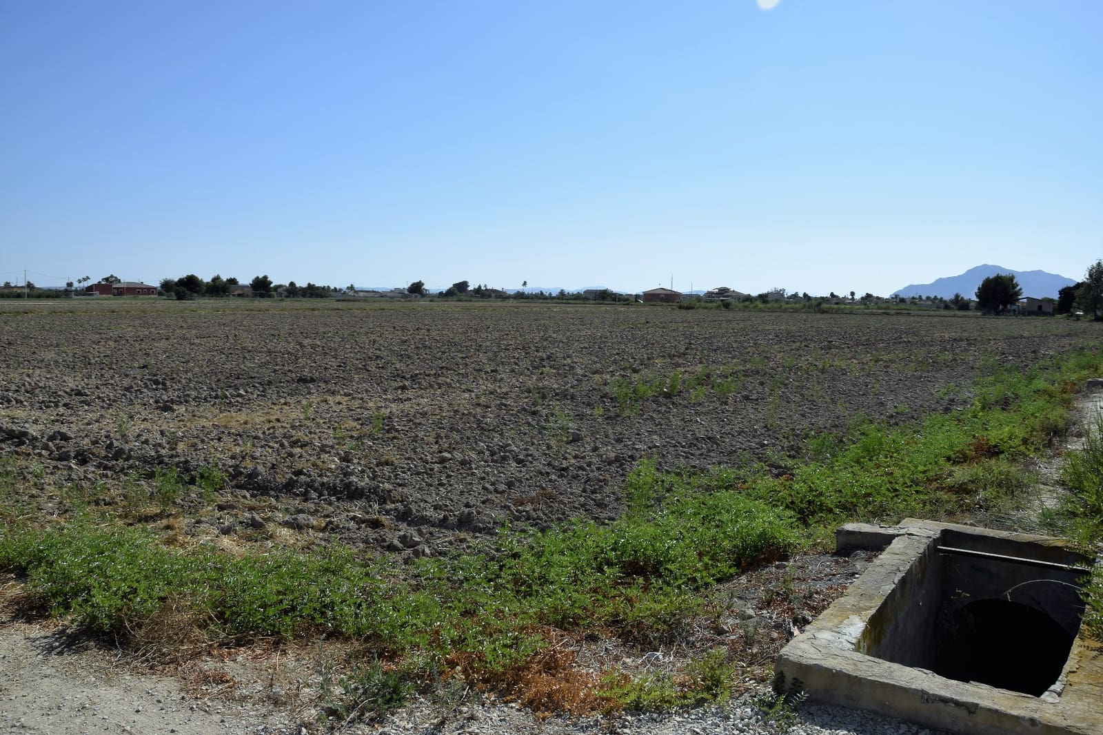 Teren niezagospodarowany na sprzedaż w Catral - 325 000 € (Ref: 5351999)