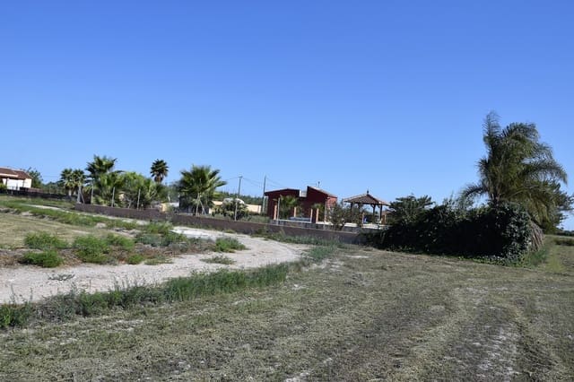 Undeveloped Land for sale in Catral - € 325,000 (Ref: 5351999)