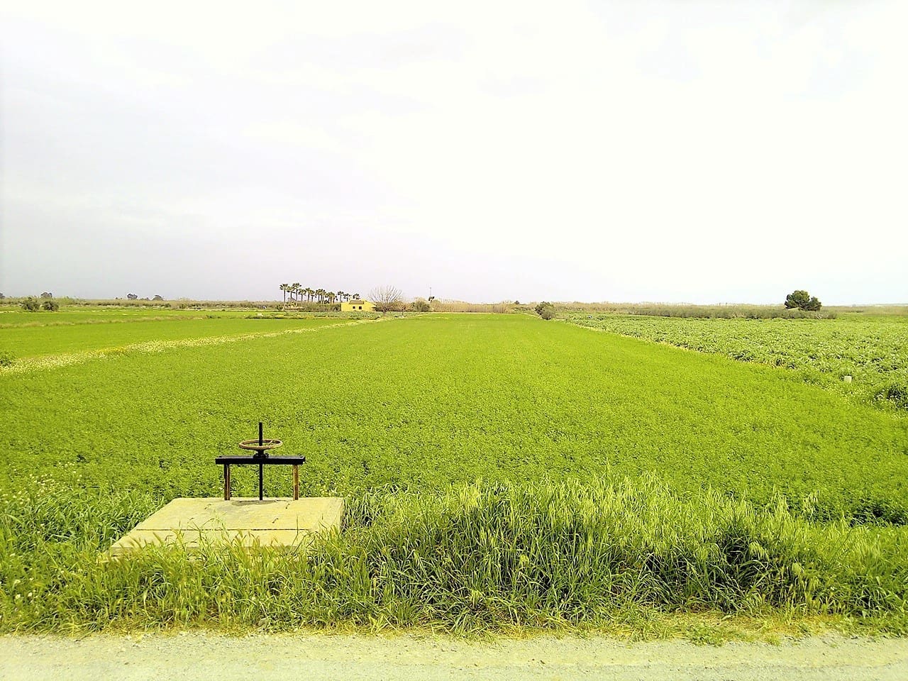 Grunde uden byggetilladelser til salg i Dolores - € 98.000 (Ref: 5692320)