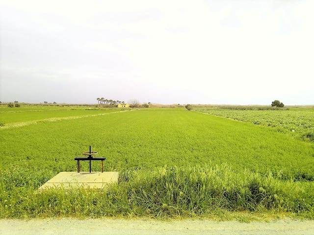 Undeveloped Land for sale in Dolores - € 98,000 (Ref: 5692320)