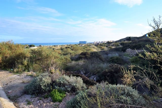 Undeveloped Land for sale in Los Secanos, Guardamar del Segura - € 450,000 (Ref: 6602164)