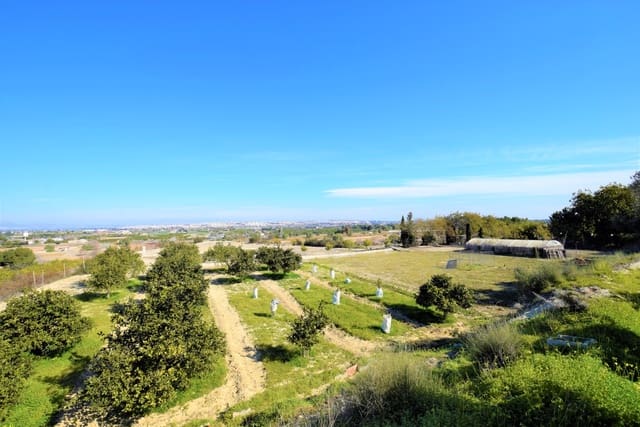 3 slaapkamer Finca/Landhuis te koop in Guardamar Playa, Guardamar del Segura met zwembad - € 463.500 (Ref: 7447629)