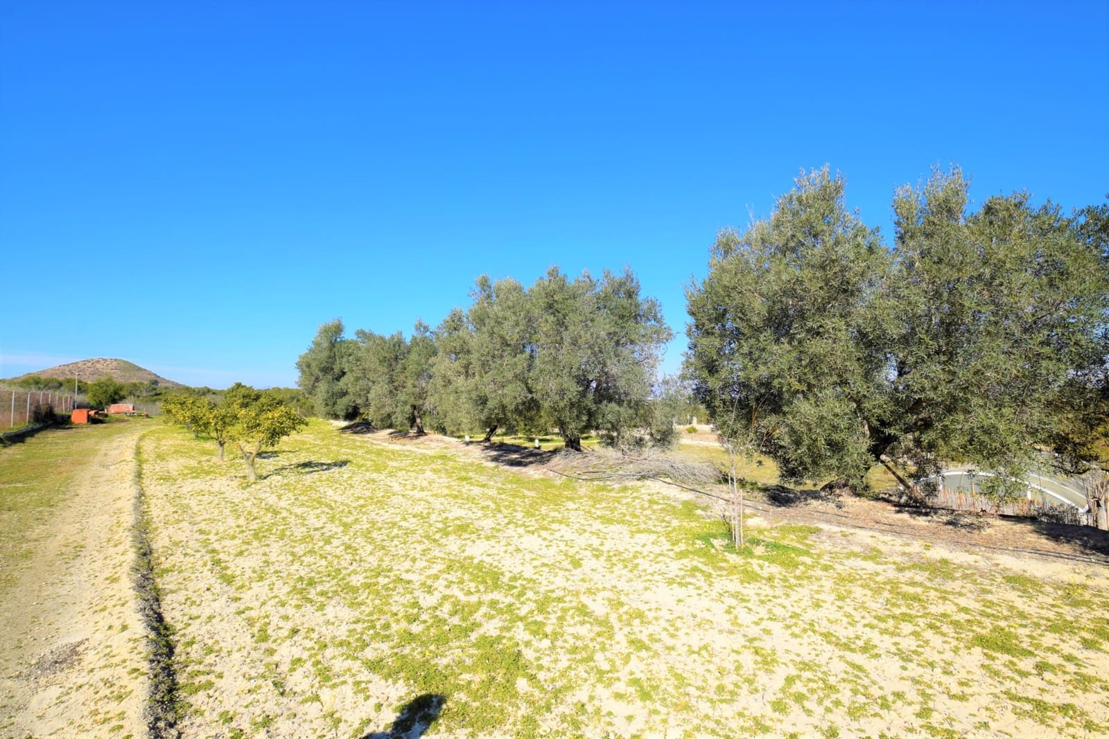 3 slaapkamer Finca/Landhuis te koop in Guardamar del Segura met zwembad - € 463.500 (Ref: 7447629)