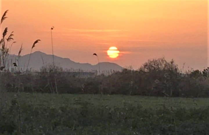 Grunde uden byggetilladelser til salg i Crevillente / Crevillent - € 90.000 (Ref: 7715901)