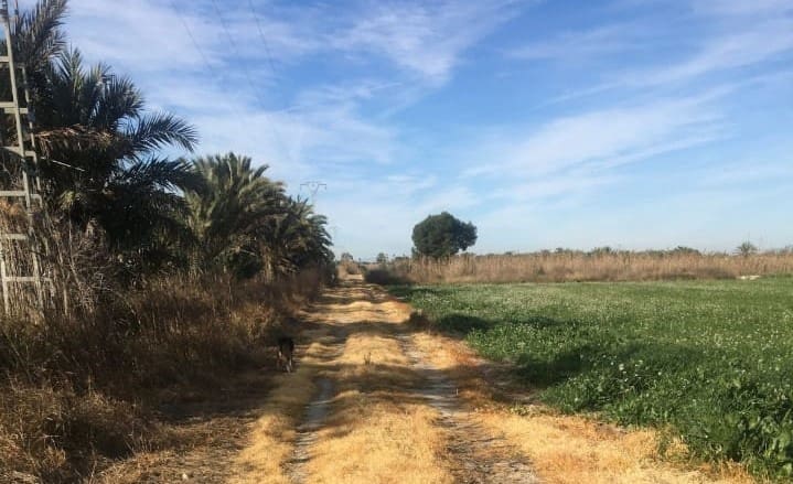 Grunde uden byggetilladelser til salg i Crevillente / Crevillent - € 90.000 (Ref: 7715901)