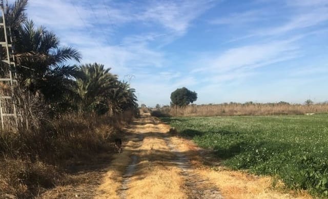 Grond te koop in Crevillente / Crevillent - € 90.000 (Ref: 7715901)