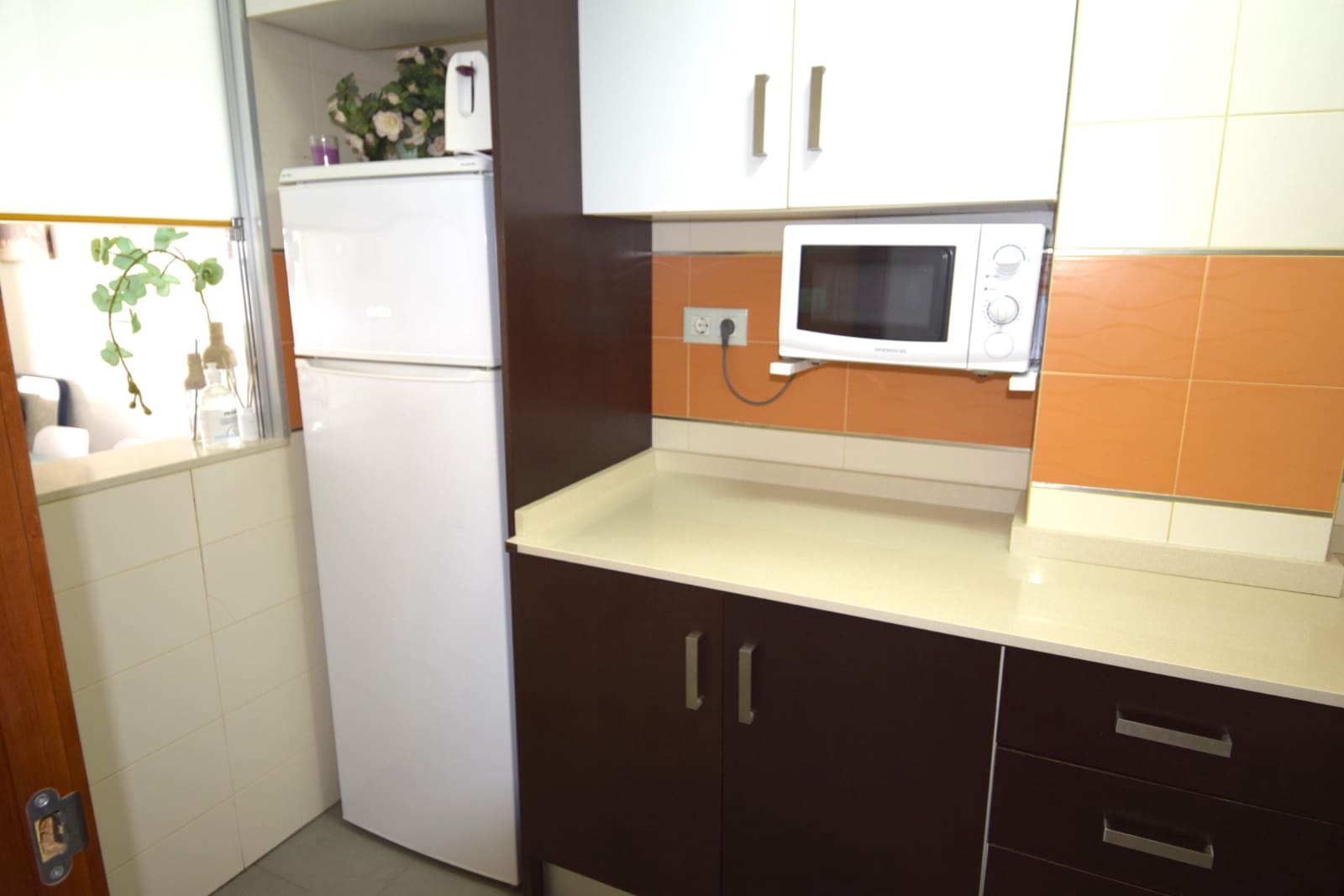 Apartamento de 2 habitaciones en Guardamar del Segura en alquiler - 850 € (Ref: 8047486)