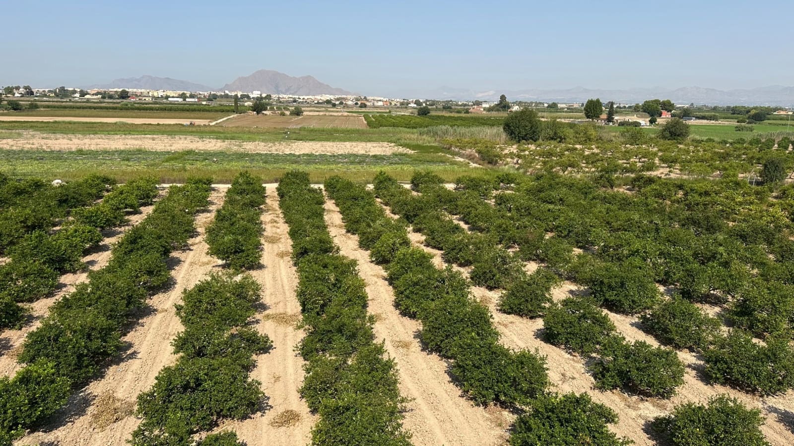 2 soveværelse Bungalow til salg i Daya Nueva med swimmingpool - € 125.000 (Ref: 9184593)