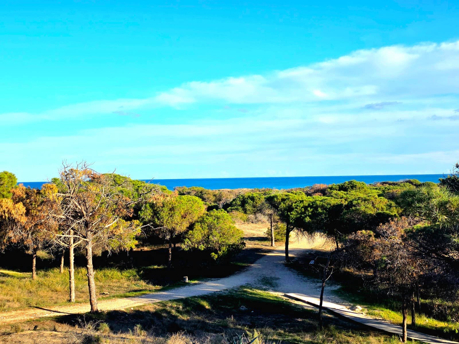 1 sypialnia Apartament na sprzedaż w Guardamar del Segura z basenem - 109 900 € (Ref: 9238776)