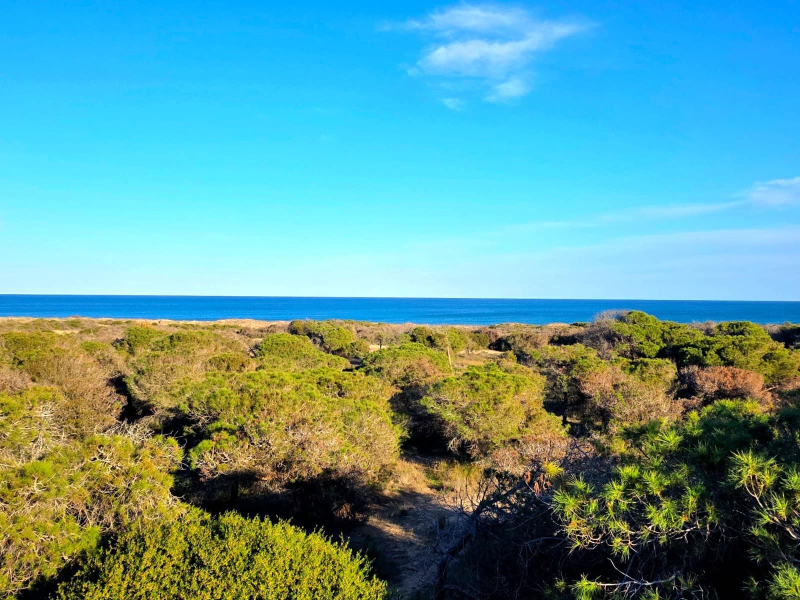 1 sovrum Lägenhet till salu i Guardamar del Segura med pool - 89 000 € (Ref: 9247700)