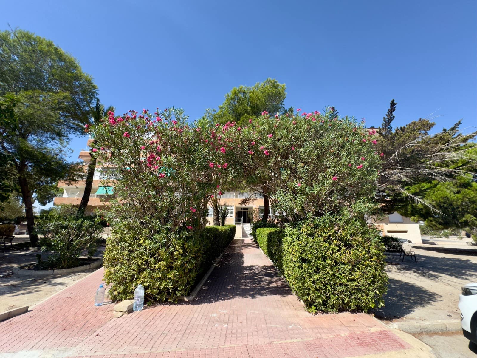 1 soveværelse Lejlighed til leje i Guardamar del Segura - € 550 (Ref: 9447352)