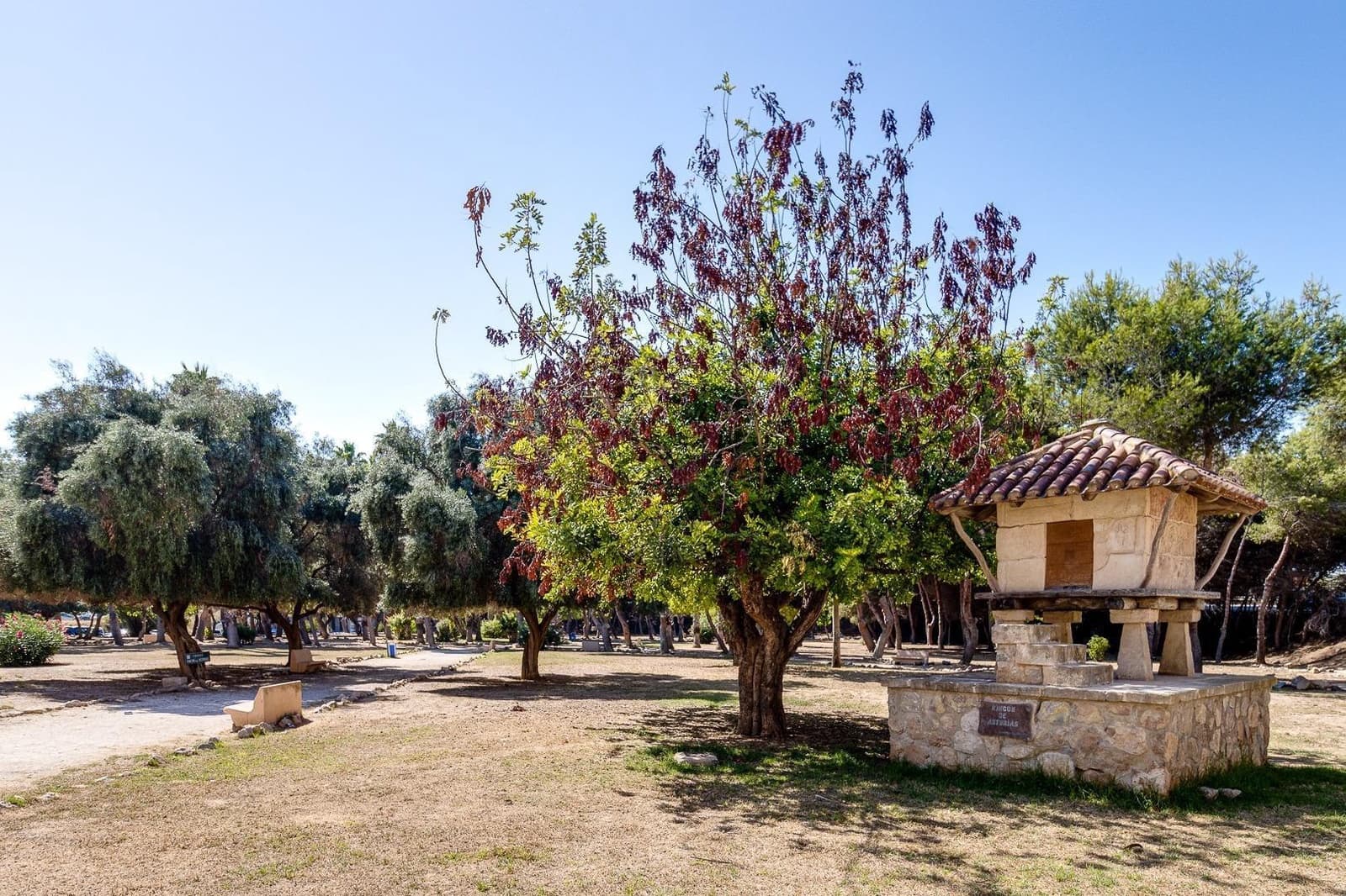 2 soverom Leilighet til salgs i Torrevieja - € 133 000 (Ref: 10076618)