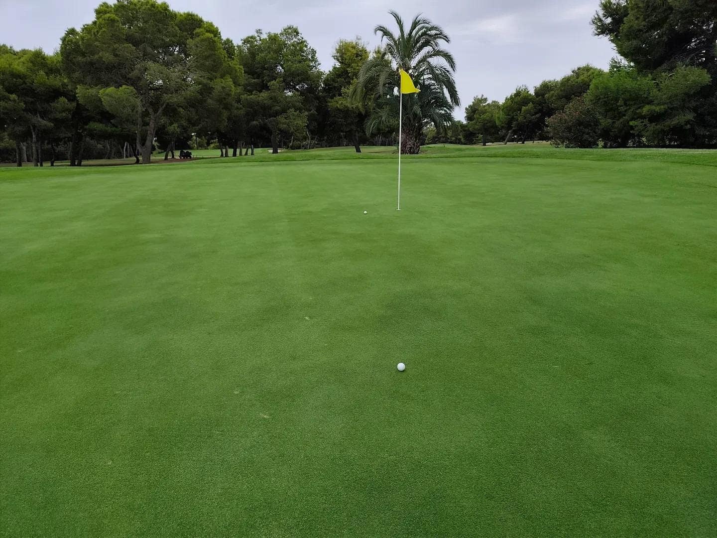1 Zimmer Bungalow zu verkaufen in Villamartin mit Pool - 115.000 € (Ref: 10157847)