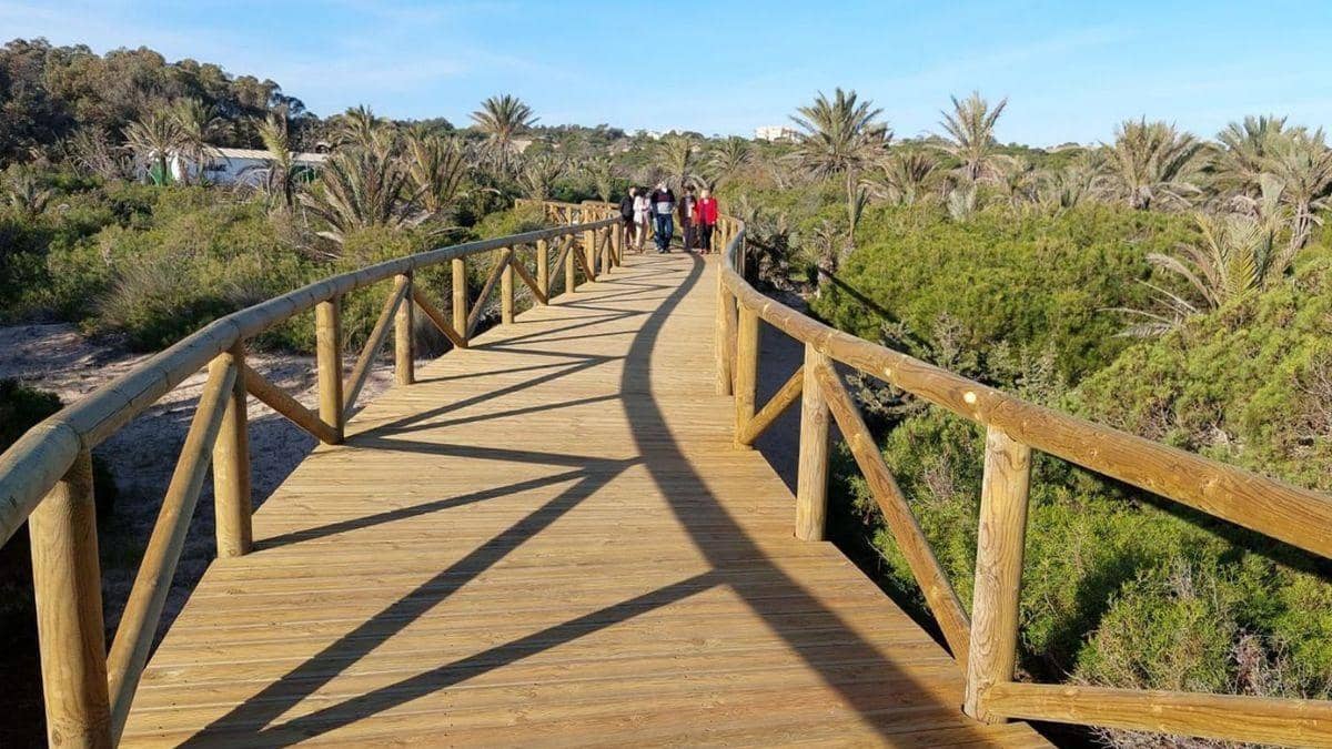 3 sypialnia Willa na sprzedaż w Villamartin z basenem - 328 000 € (Ref: 8532406)