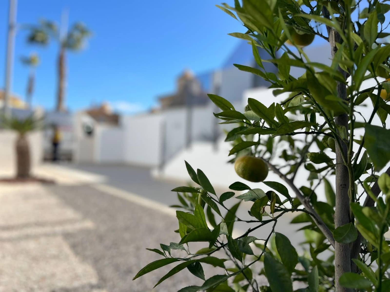 3 soverom Villa til salgs i Benferri med svømmebasseng garasje - € 306 000 (Ref: 9449053)