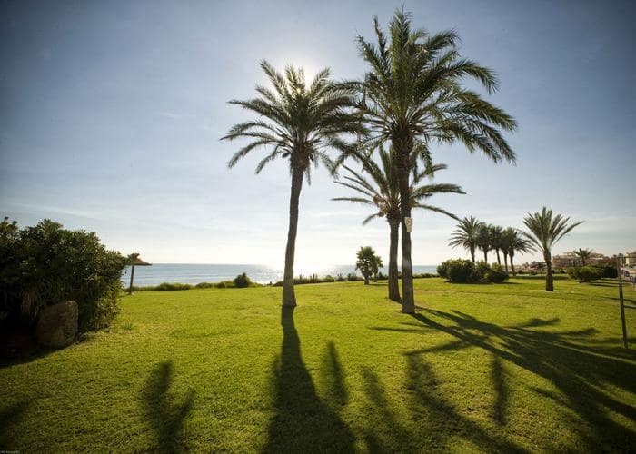 Apartamento de 2 habitaciones en Torrevieja en venta - 128.000 € (Ref: 9702114)