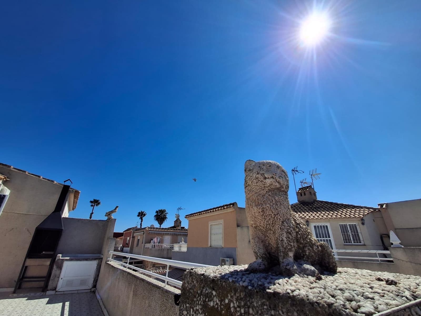 3 soveværelse Bungalow til salg i Torrevieja med swimmingpool - € 180.000 (Ref: 9778349)