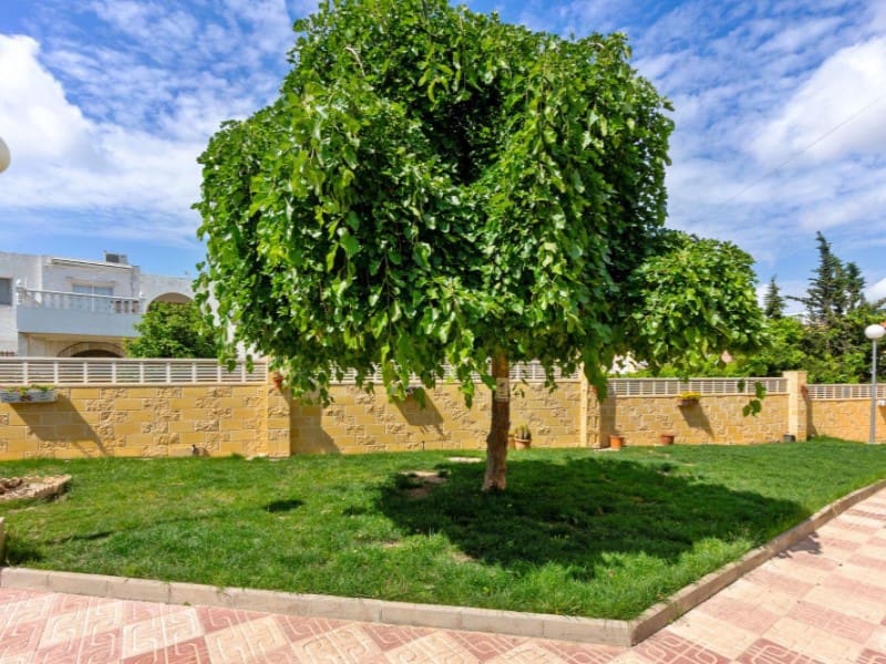 1 sypialnia Apartament na sprzedaż w Torrevieja z basenem - 102 000 € (Ref: 10040787)