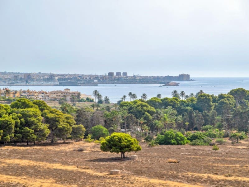 2 sovrum Lägenhet till salu i Punta Prima med pool - 225 000 € (Ref: 10054949)