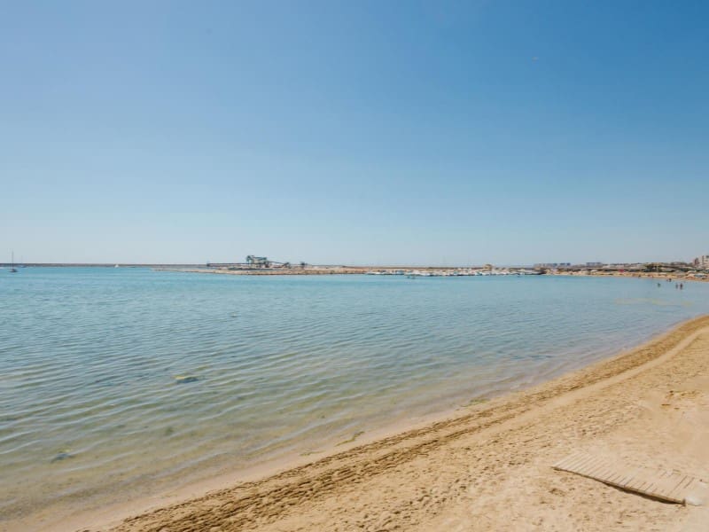 3 Zimmer Apartment zu verkaufen in Torrevieja - 236.000 € (Ref: 10078234)