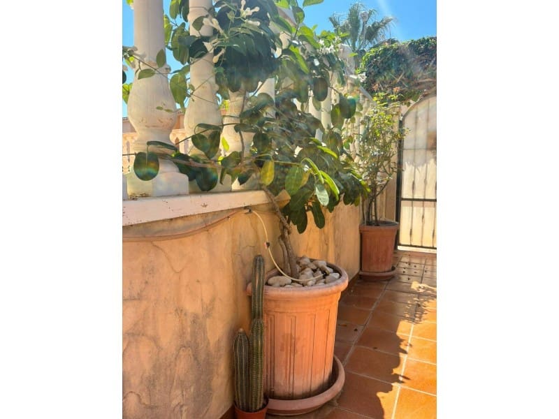 2 Zimmer Villa zu verkaufen in Orihuela Costa mit Pool - 215.000 € (Ref: 10078241)