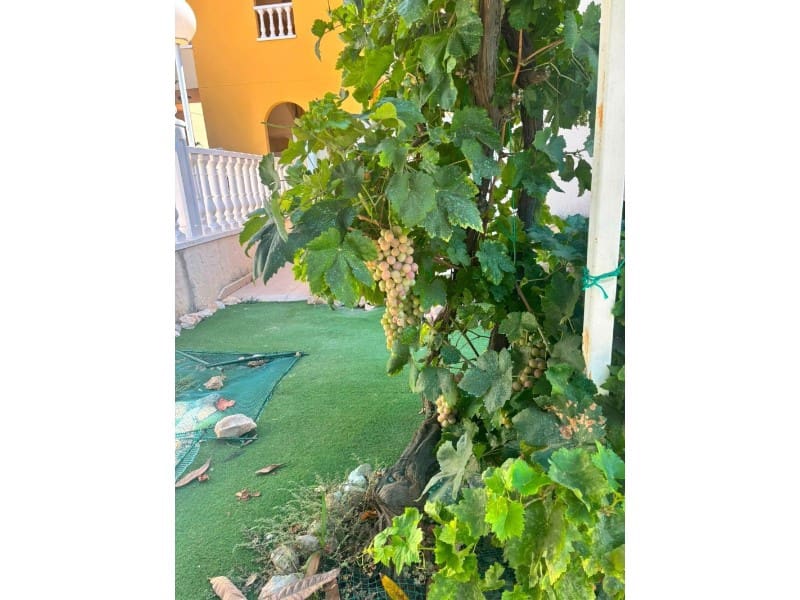 2 Zimmer Villa zu verkaufen in Orihuela Costa mit Pool - 215.000 € (Ref: 10078241)