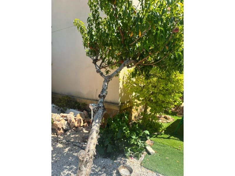 2 Zimmer Villa zu verkaufen in Orihuela Costa mit Pool - 215.000 € (Ref: 10078241)