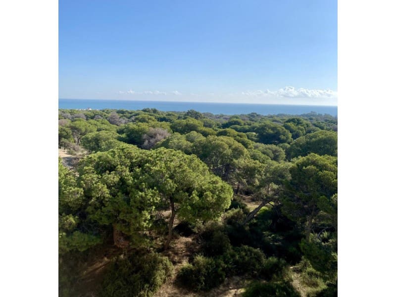 2 slaapkamer Appartement te koop in Guardamar del Segura - € 318.240 (Ref: 10124308)