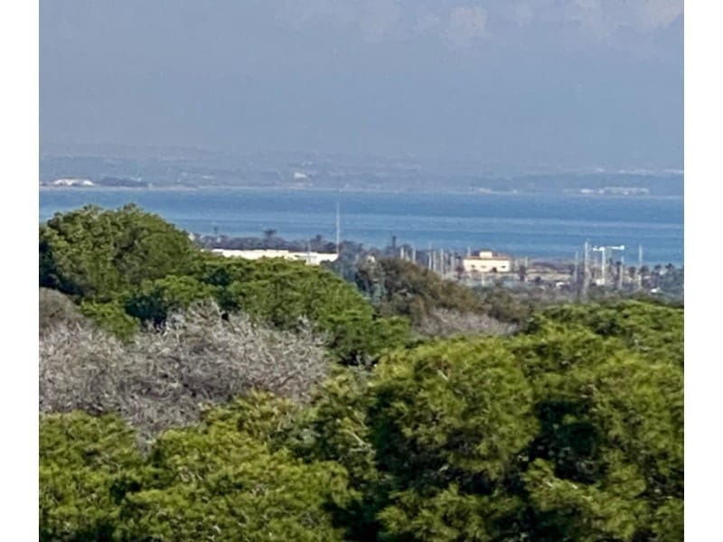 2 bedroom Apartment for sale in Guardamar del Segura - € 349,000 (Ref: 10124309)