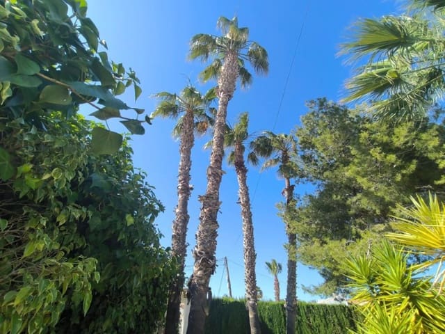 5 soverom Villa til salgs i El Chaparral, Torrevieja med svømmebasseng garasje - € 630 000 (Ref: 10154960)