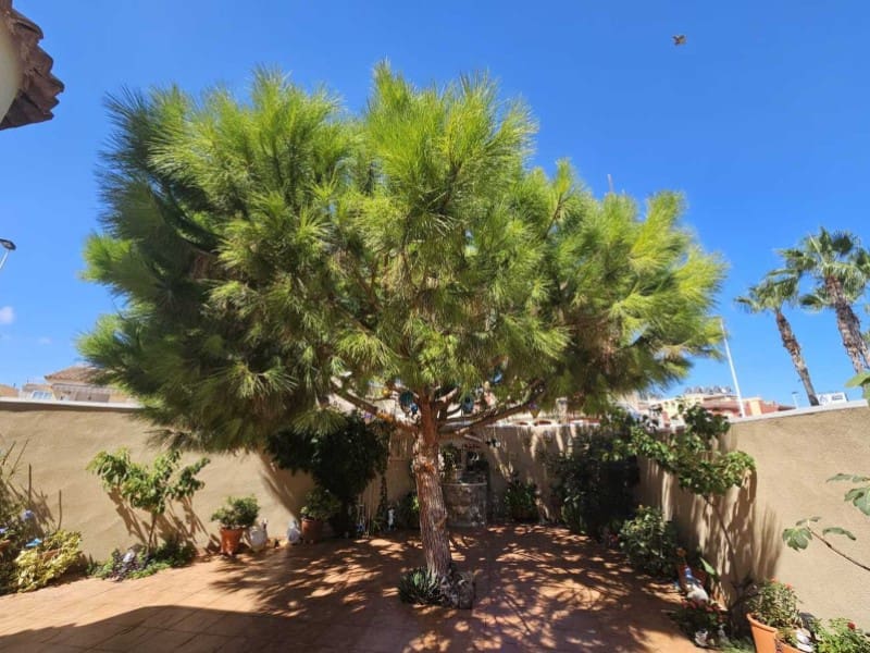 3 bedroom Villa for sale in Torrevieja with garage - € 495,000 (Ref: 10154961)