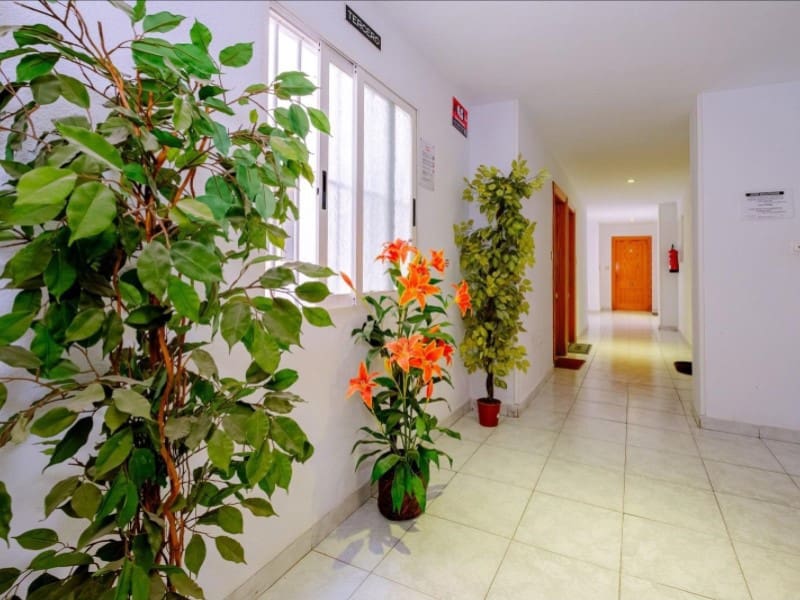 1 soveværelse Lejlighed til salg i Torrevieja - € 129.900 (Ref: 10184455)